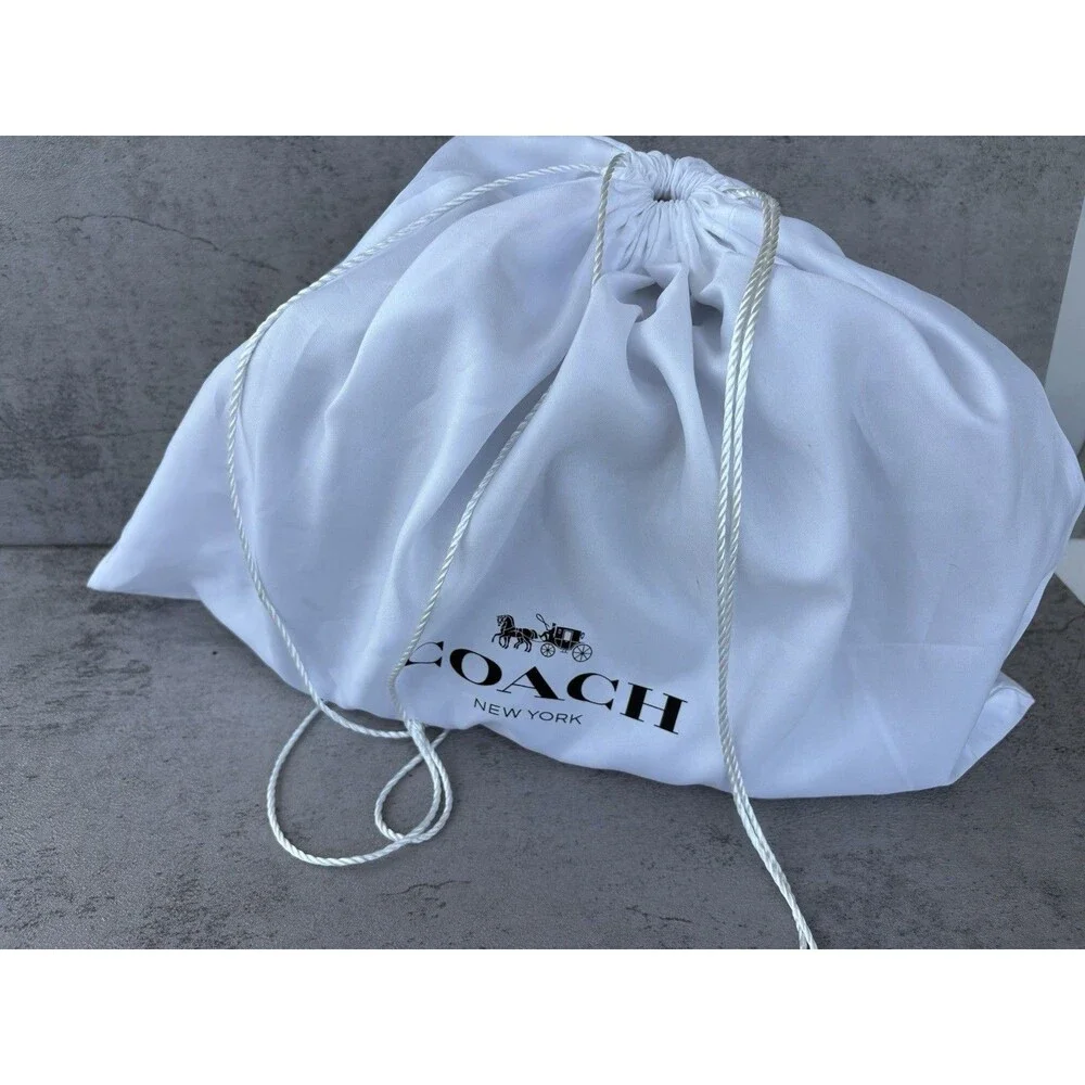 Coach Dreamer 36 Metallic ColorBlock Crossbody Bag/Satchel 38842 MINT